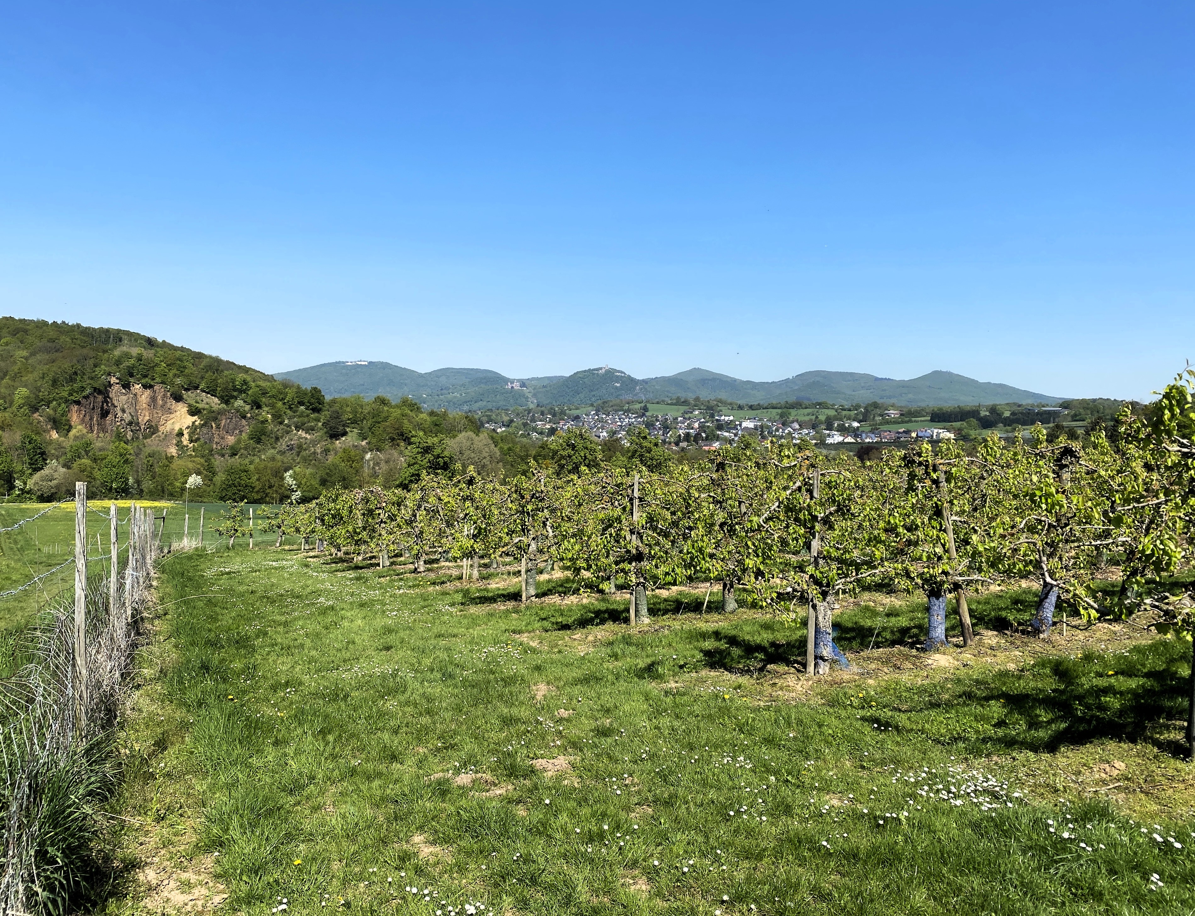 Blick aufs Siebengebirge 2026