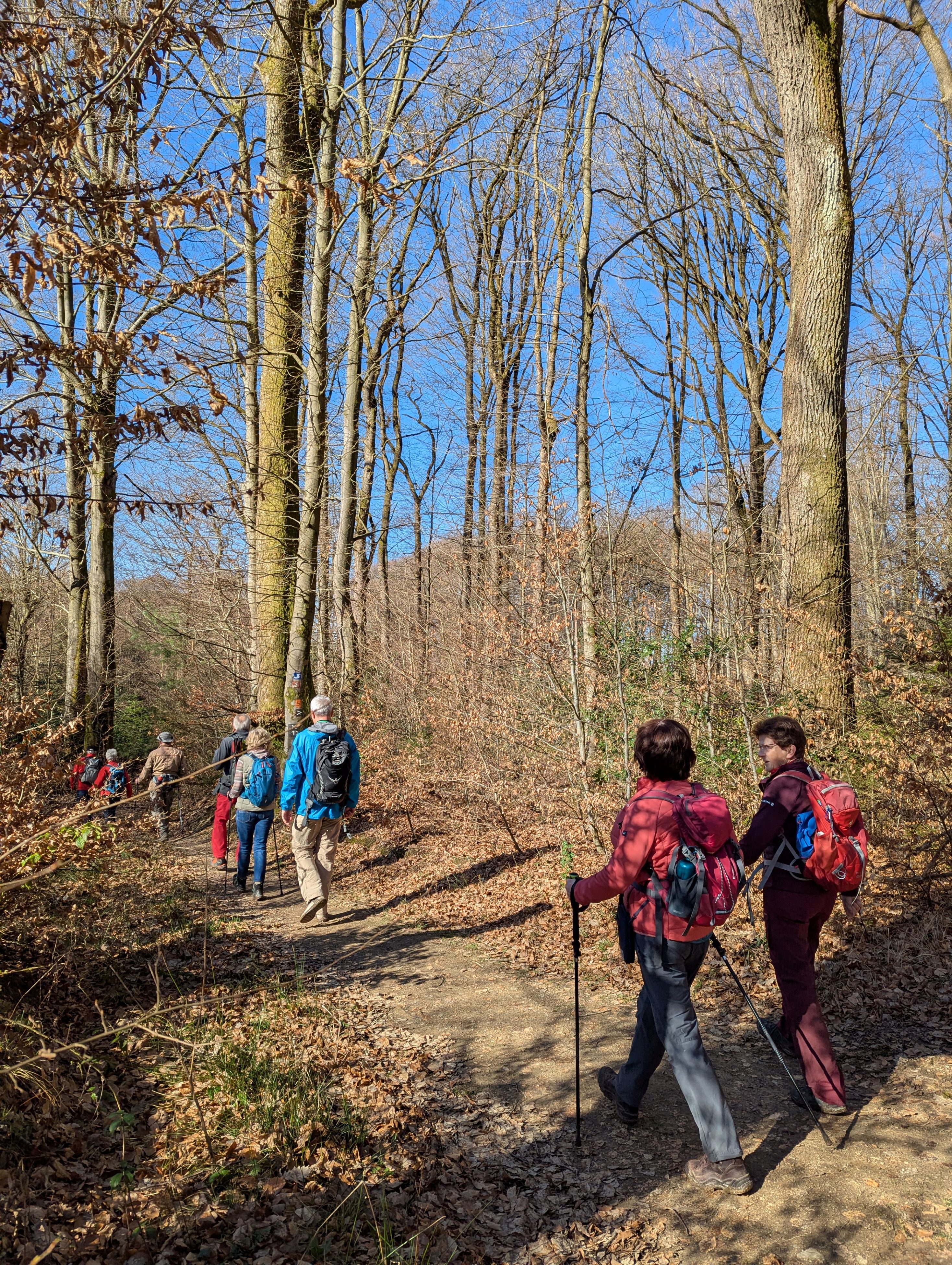 Februarwand 2026 im Wald